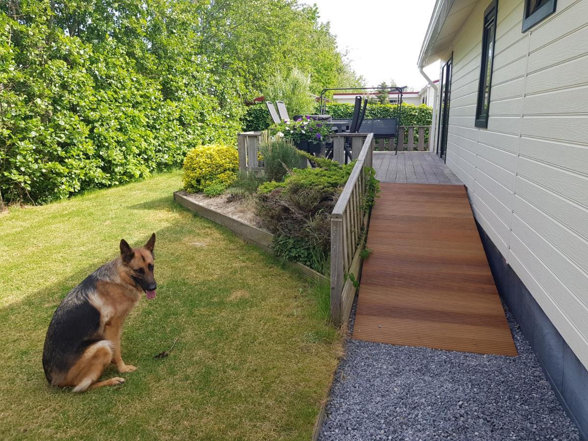 Vakantiehuis In Zeeland 圣安娜兰 外观 照片