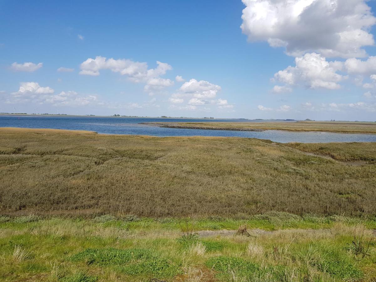 Vakantiehuis In Zeeland 圣安娜兰 外观 照片