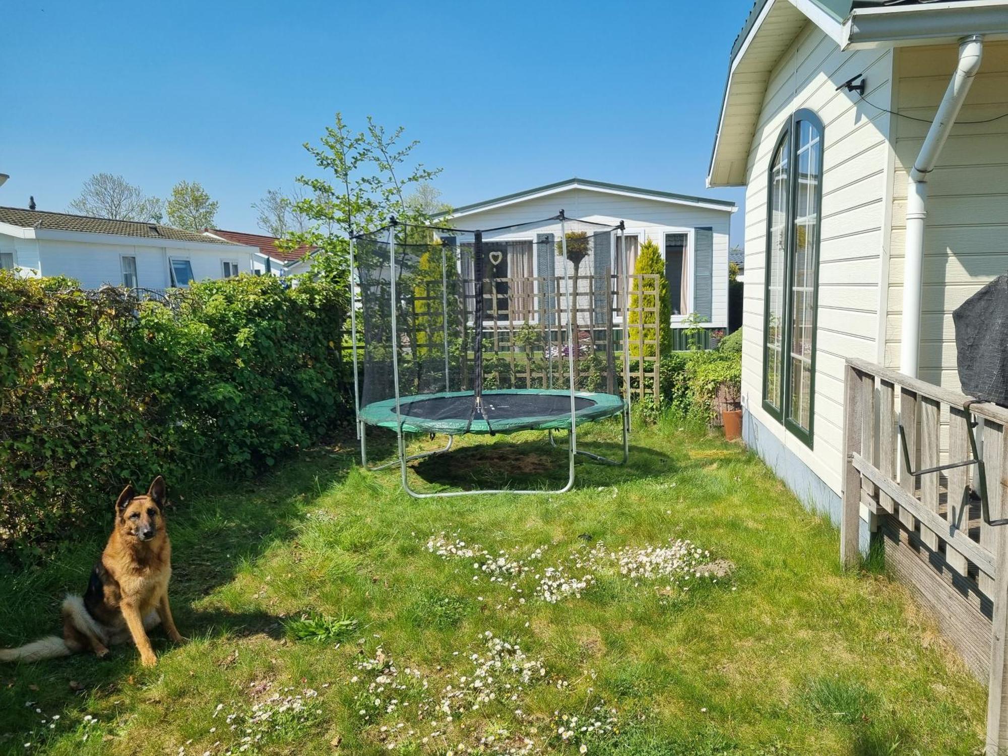 Vakantiehuis In Zeeland 圣安娜兰 客房 照片